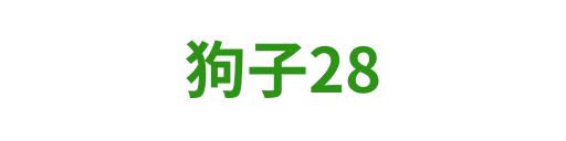 狗子28